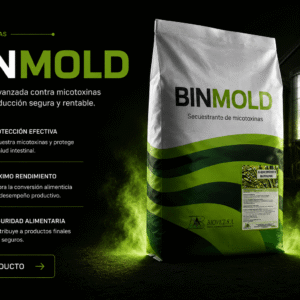 Binmold