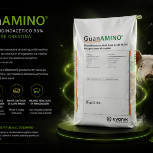 GuanAmino