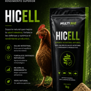 Hicell