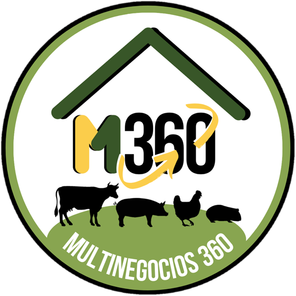 Multinegocios 360