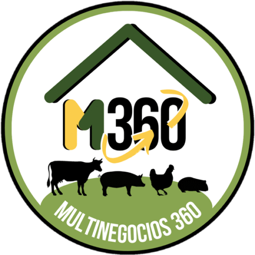 Multinegocios 360