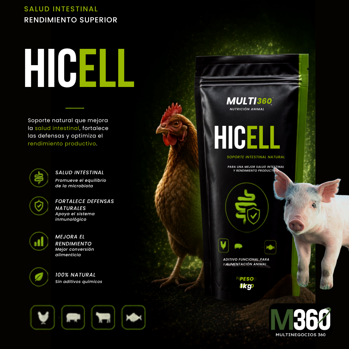 Hicell