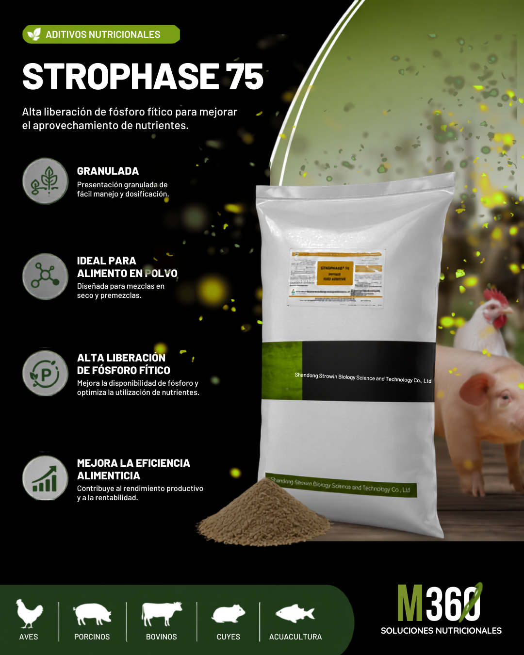 Strophase
