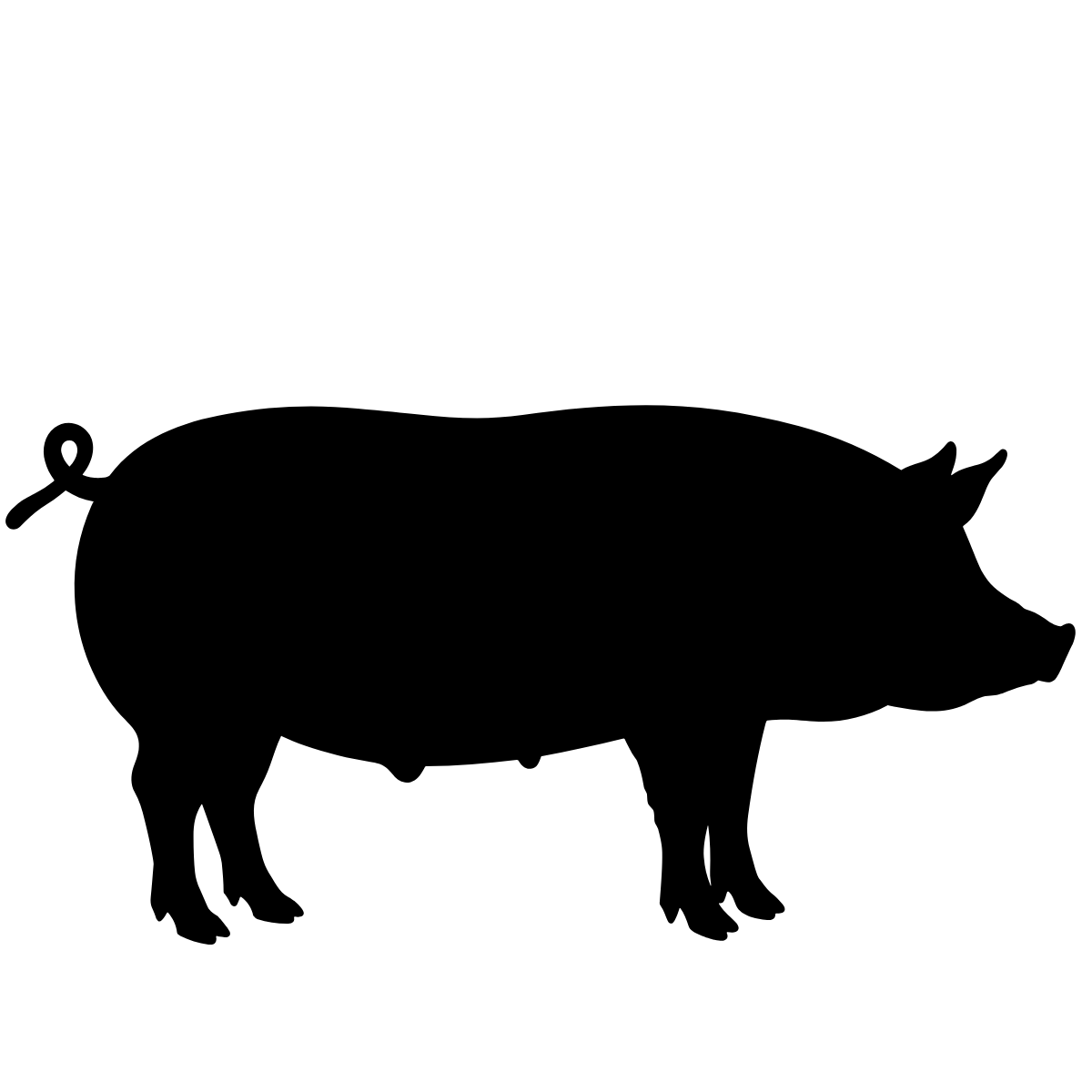 Cerdo